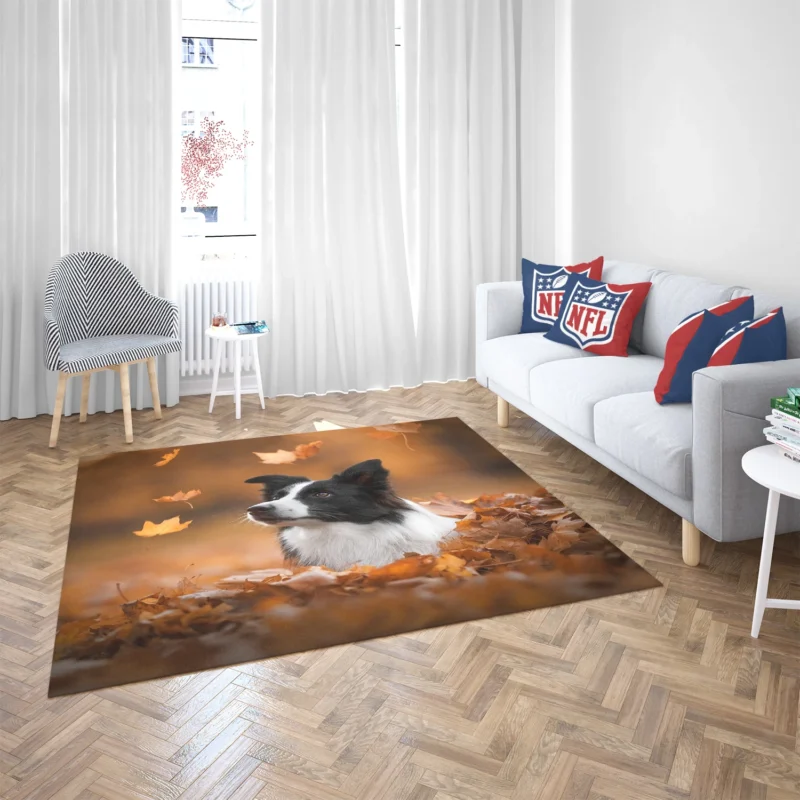 Energetic Border Collie: Border Collie Floor Rug 2