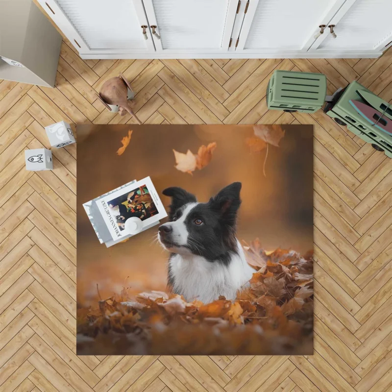 Energetic Border Collie: Border Collie Floor Rug