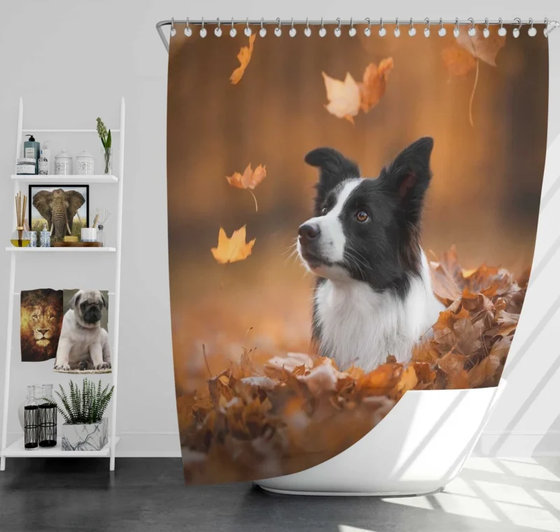 Energetic Border Collie: Border Collie Shower Curtain