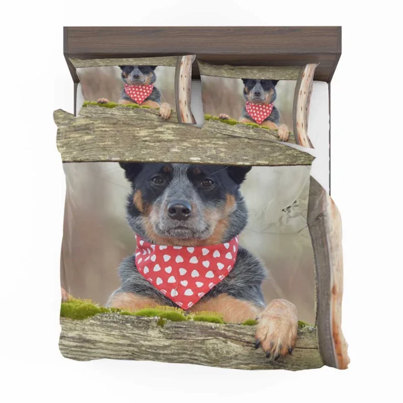 Energetic Herding Dogs: Australian Cattle Dog Bedding Set 1