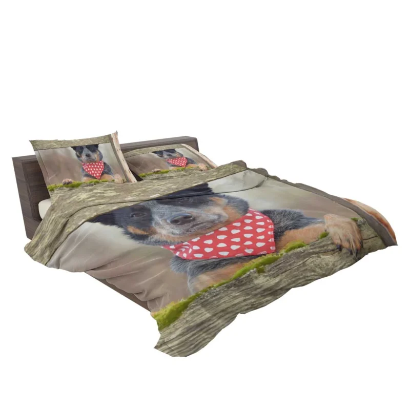 Energetic Herding Dogs: Australian Cattle Dog Bedding Set 2