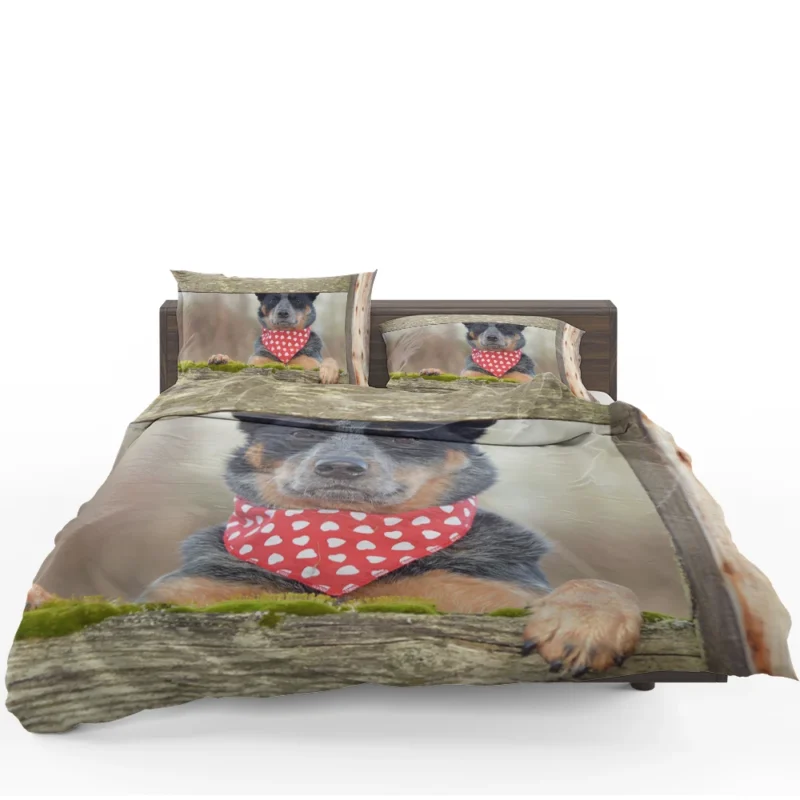 Energetic Herding Dogs: Australian Cattle Dog Bedding Set