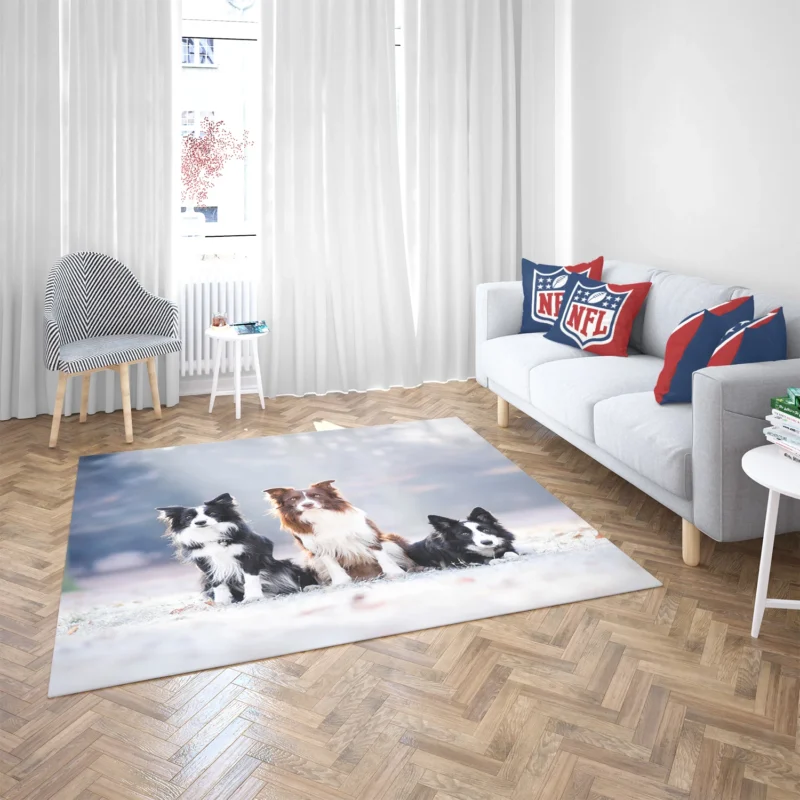 Energetic Trio of Border Collies Floor Rug 2