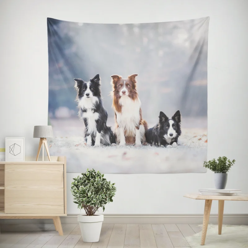 Energetic Trio of Border Collies Wall Tapestry