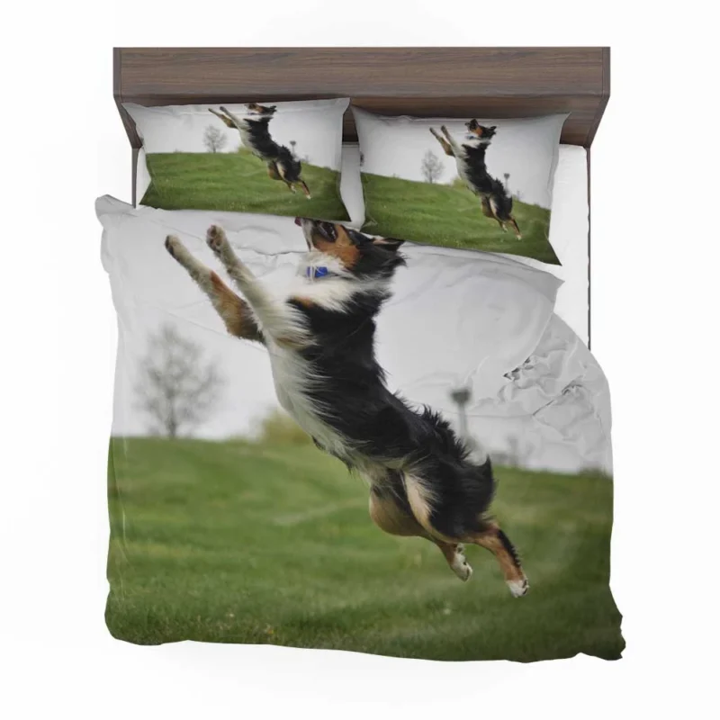 Energetic and Active Border Collie: Border Collie Bedding Set 1