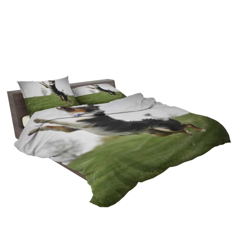 Energetic and Active Border Collie: Border Collie Bedding Set 2