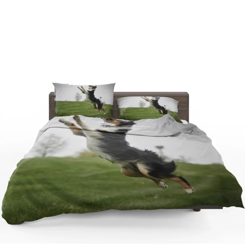 Energetic and Active Border Collie: Border Collie Bedding Set