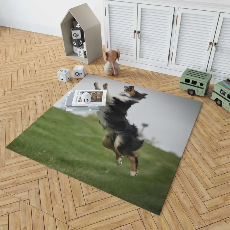 Energetic and Active Border Collie: Border Collie Floor Rug 1