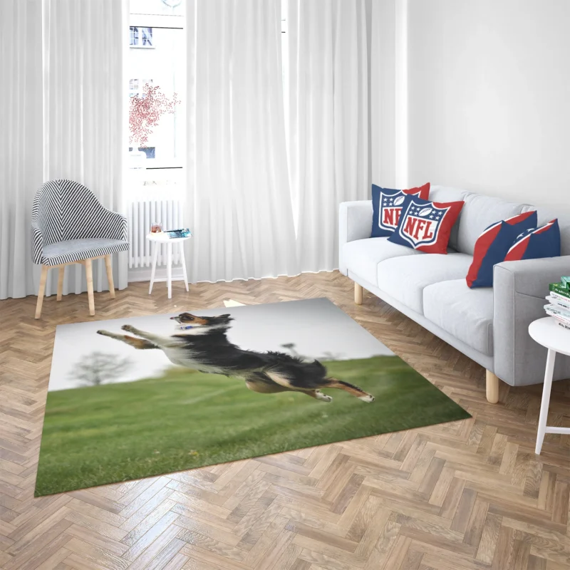 Energetic and Active Border Collie: Border Collie Floor Rug 2