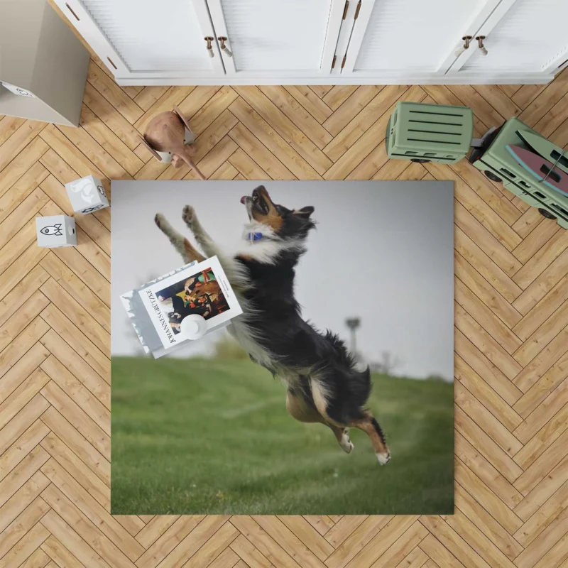 Energetic and Active Border Collie: Border Collie Floor Rug