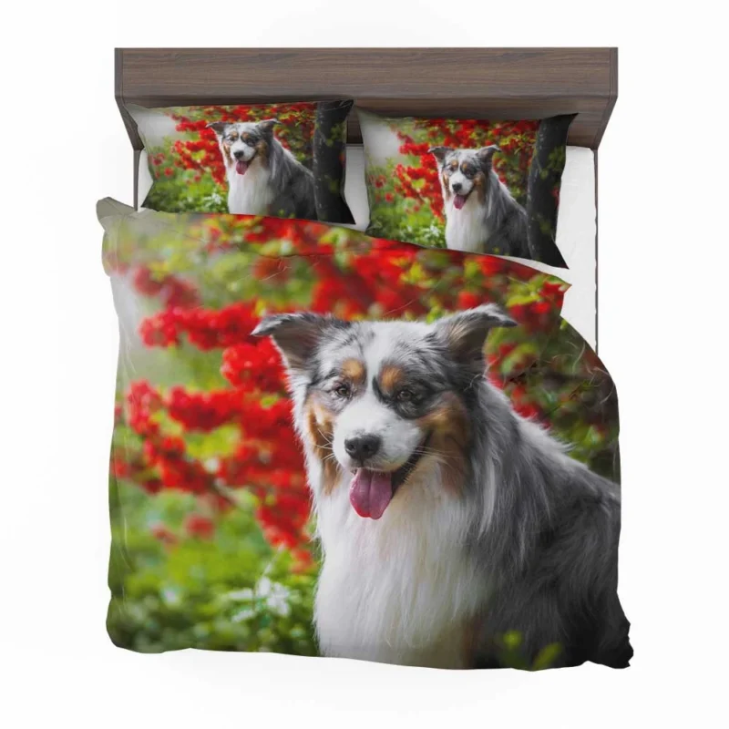 Energetic and Loyal Dogs: Australian Shepherd Bedding Set 1