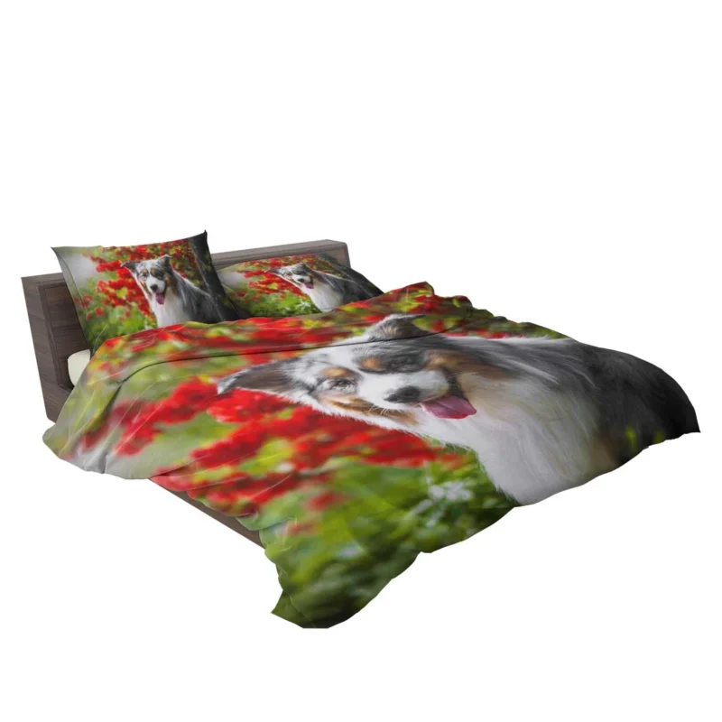 Energetic and Loyal Dogs: Australian Shepherd Bedding Set 2