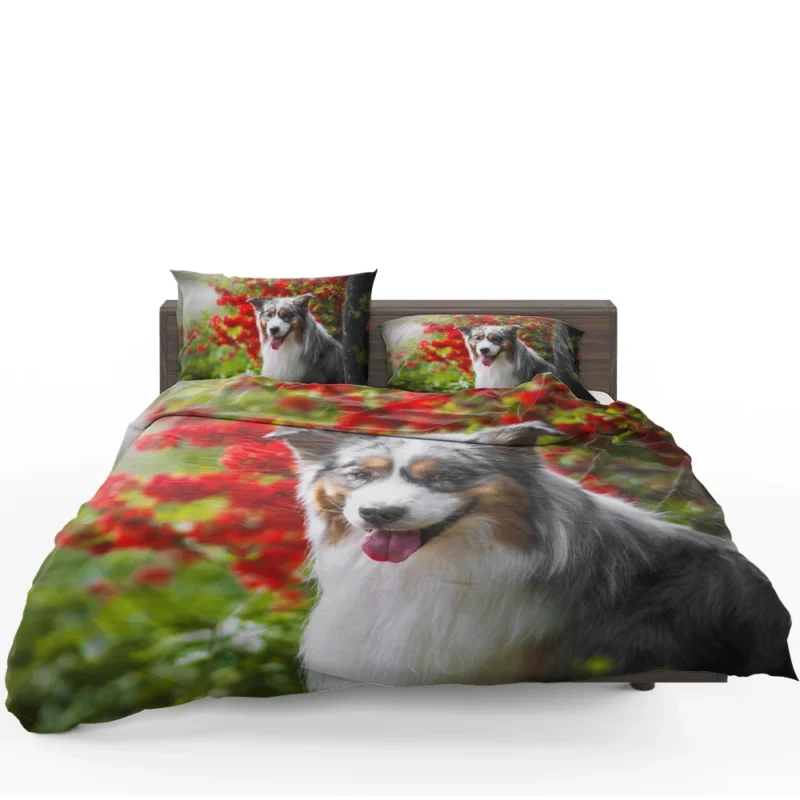 Energetic and Loyal Dogs: Australian Shepherd Bedding Set