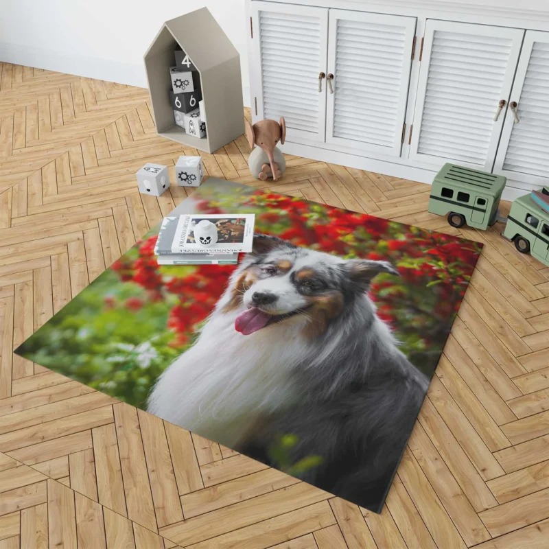 Energetic and Loyal Dogs: Australian Shepherd Floor Rug 1