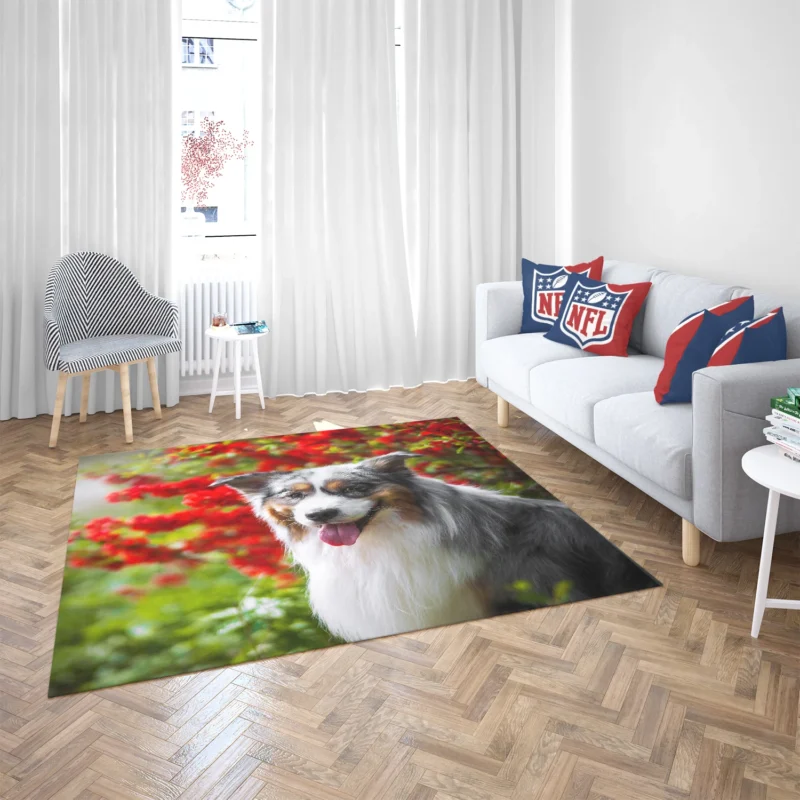 Energetic and Loyal Dogs: Australian Shepherd Floor Rug 2