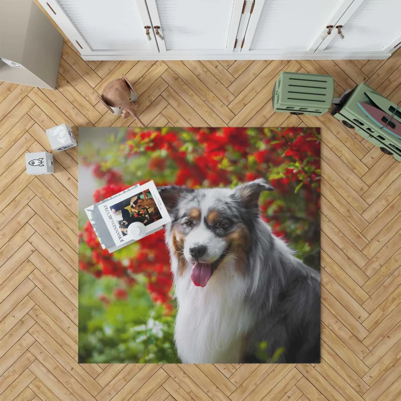 Energetic and Loyal Dogs: Australian Shepherd Floor Rug