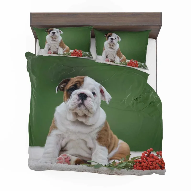 English Bulldog Puppies: English Bulldog Quartet Bedding Set 1