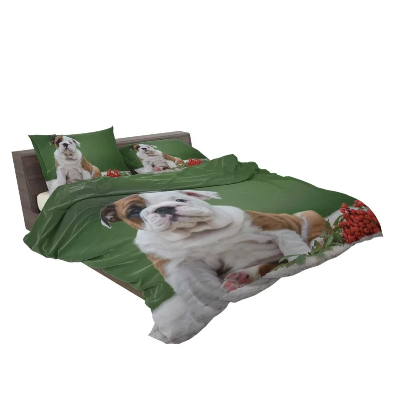 English Bulldog Puppies: English Bulldog Quartet Bedding Set 2