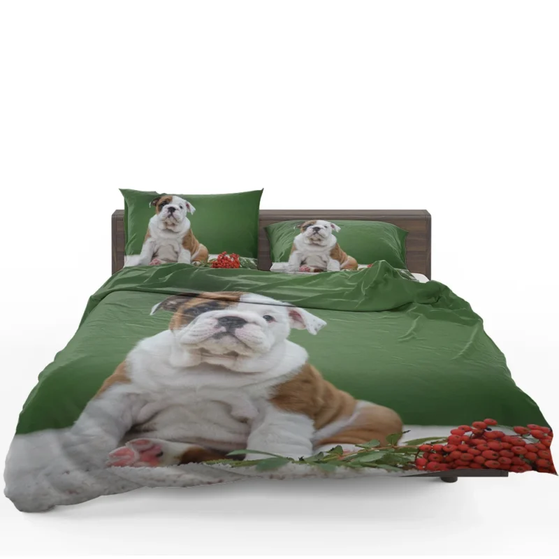 English Bulldog Puppies: English Bulldog Quartet Bedding Set