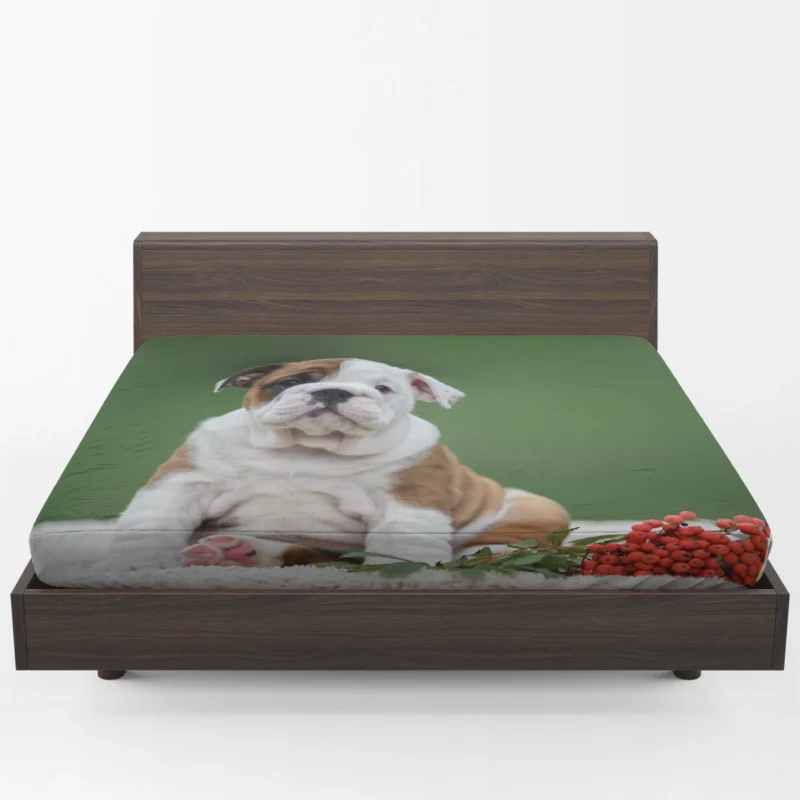 English Bulldog Puppies: English Bulldog Quartet Fitted Sheet 1