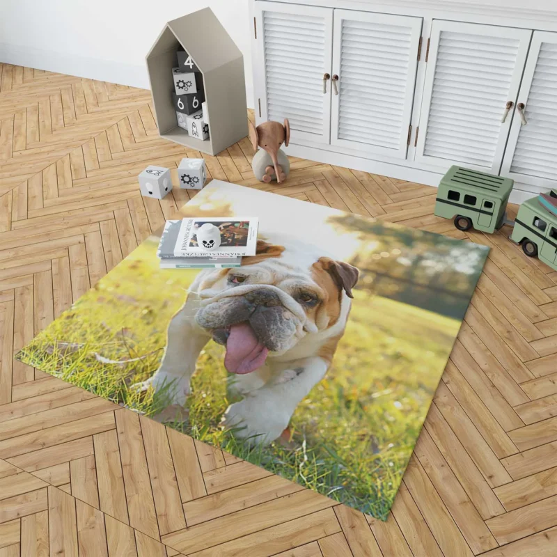 English Bulldog in Sunny Grass: English Bulldog Quartet Floor Rug 1