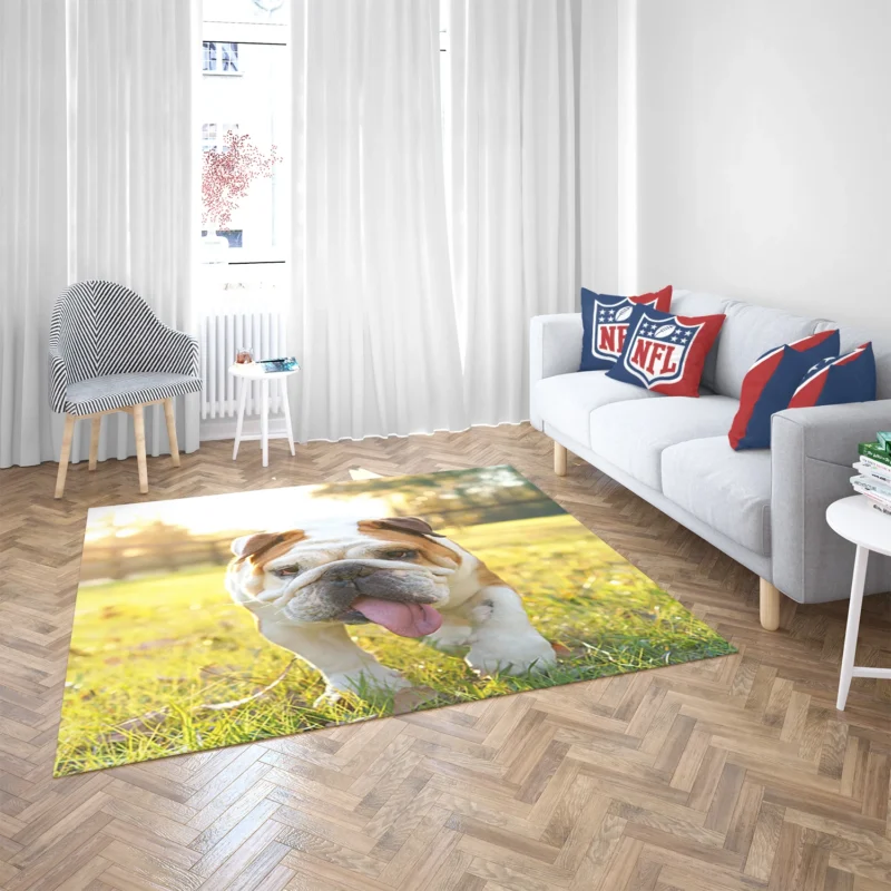 English Bulldog in Sunny Grass: English Bulldog Quartet Floor Rug 2