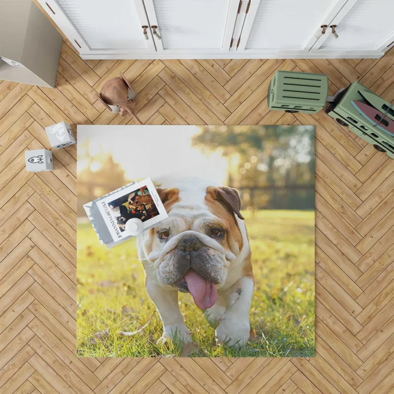 English Bulldog in Sunny Grass: English Bulldog Quartet Floor Rug