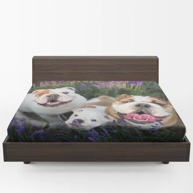 English Bulldog with Purple Flowers: English Bulldog Quartet Fitted Sheet 1