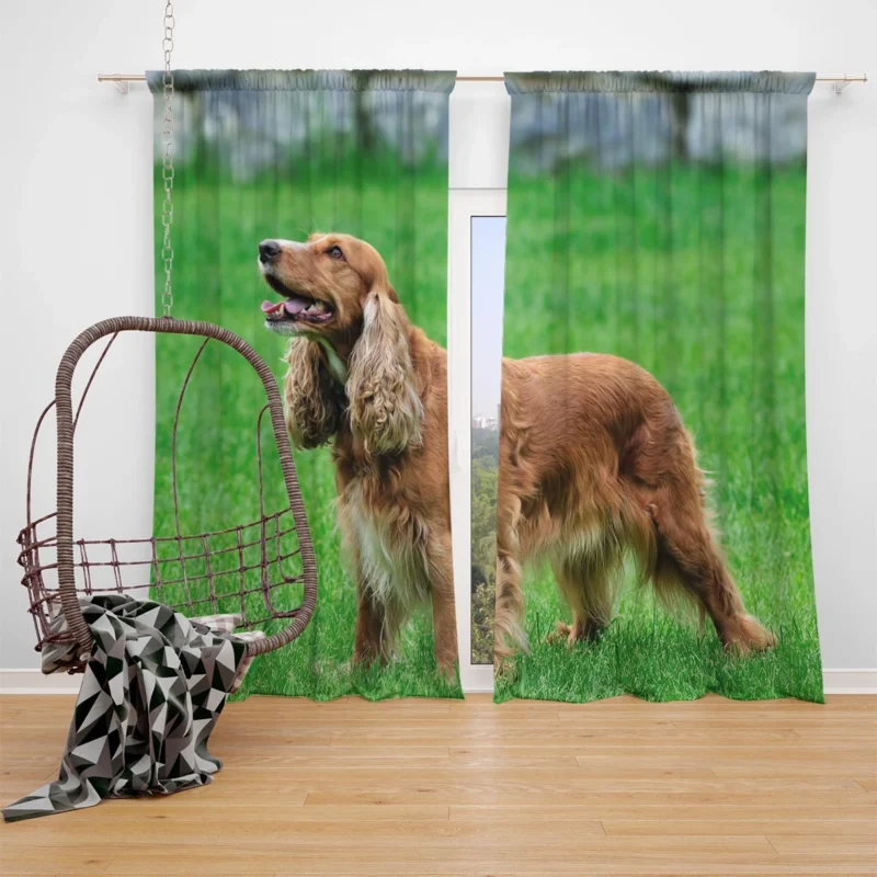 English Elegance with Spaniel: Cocker Spaniel Quartet Window Curtain