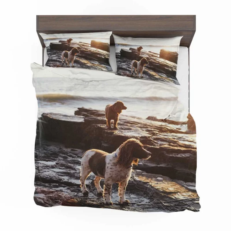 English Springer Spaniel at the Beach: Quartet Bedding Set 1