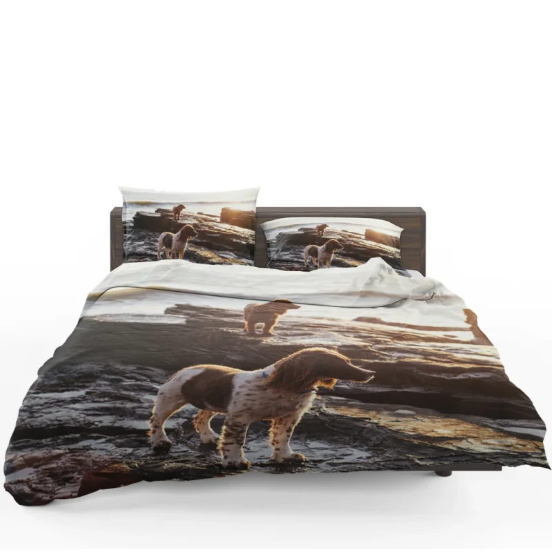 English Springer Spaniel at the Beach: Quartet Bedding Set