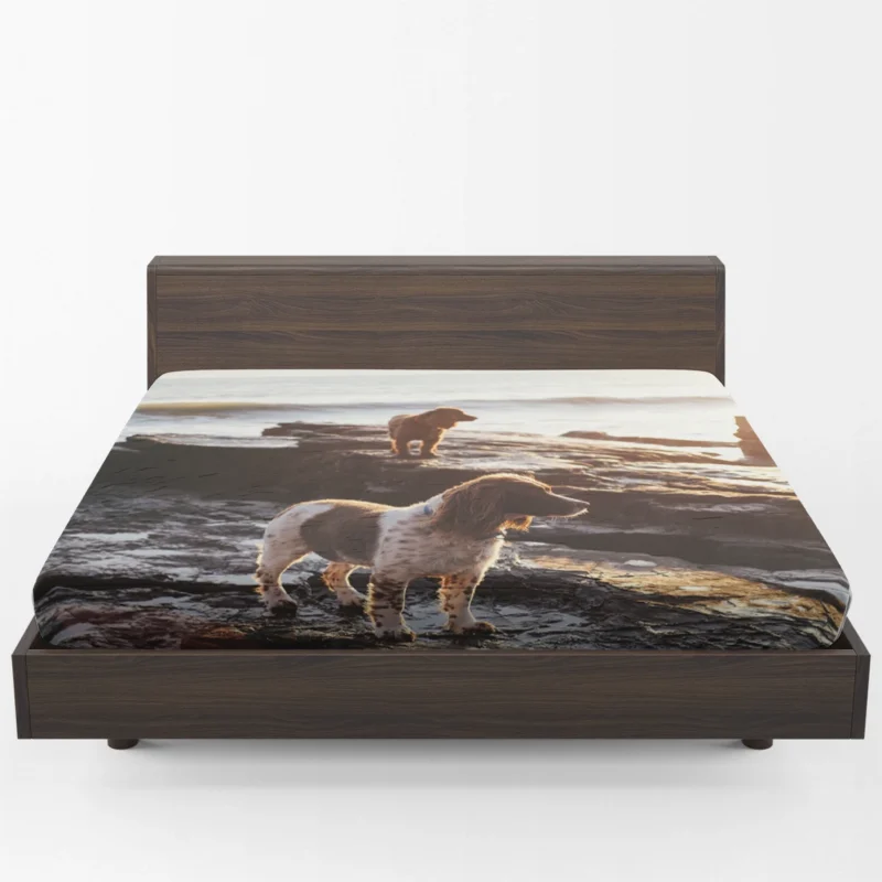 English Springer Spaniel at the Beach: Quartet Fitted Sheet 1