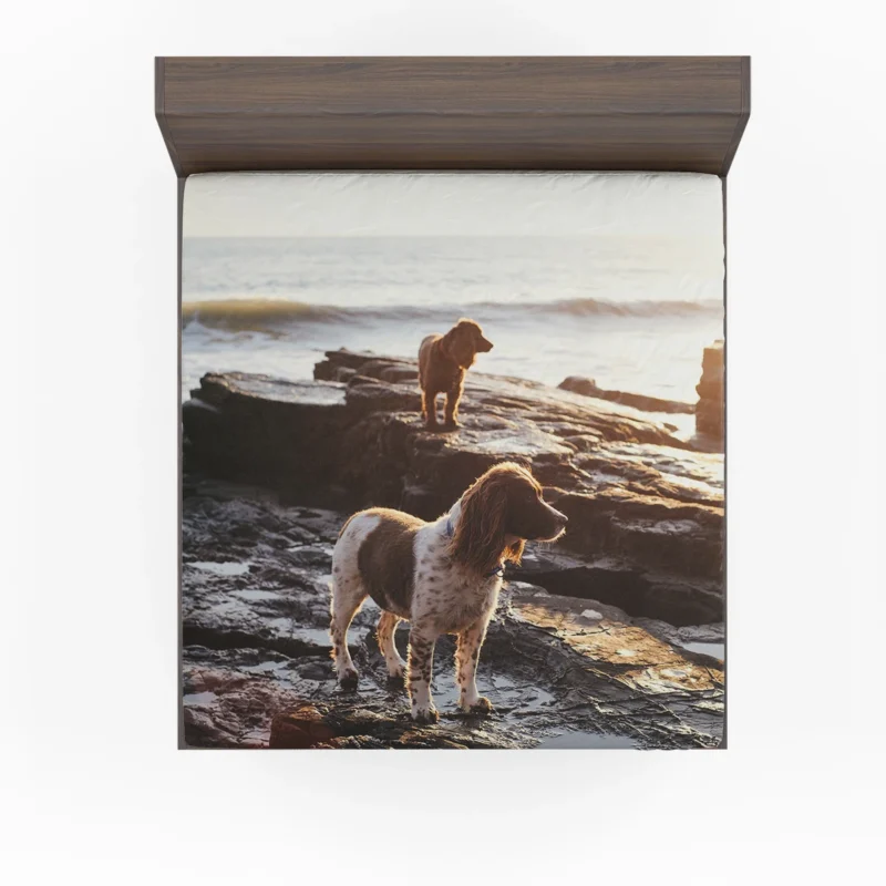 English Springer Spaniel at the Beach: Quartet Fitted Sheet