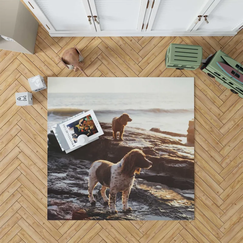 English Springer Spaniel at the Beach: Quartet Floor Rug