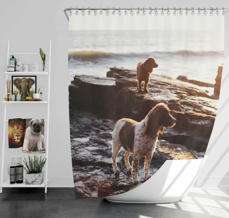 English Springer Spaniel at the Beach: Quartet Shower Curtain