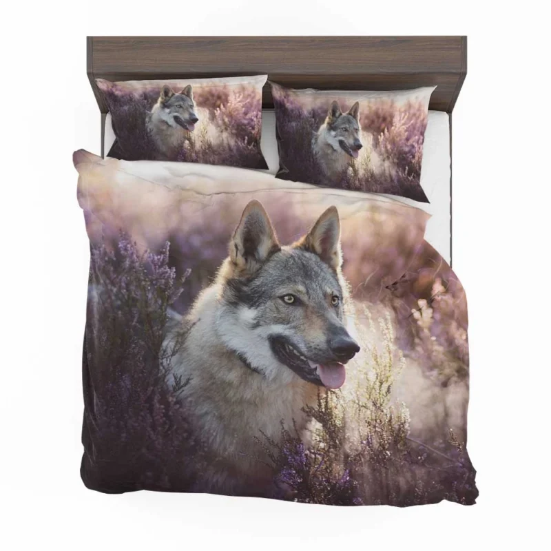 Enigmatic and Compelling: Wolfdog Quartet Bedding Set 1