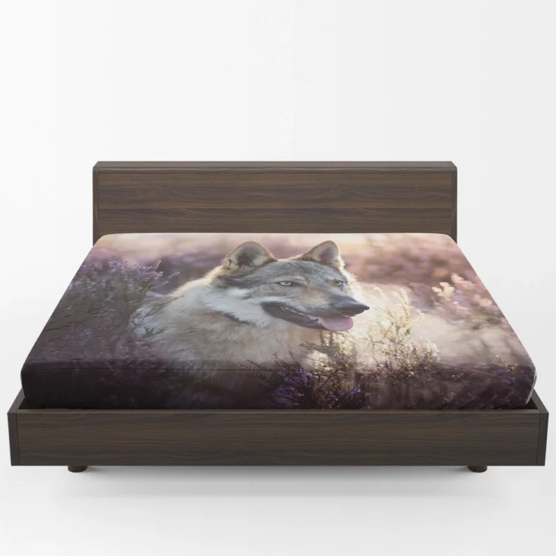 Enigmatic and Compelling: Wolfdog Quartet Fitted Sheet 1