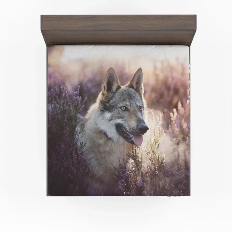 Enigmatic and Compelling: Wolfdog Quartet Fitted Sheet