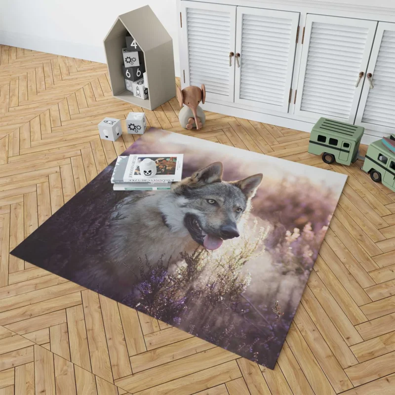 Enigmatic and Compelling: Wolfdog Quartet Floor Rug 1