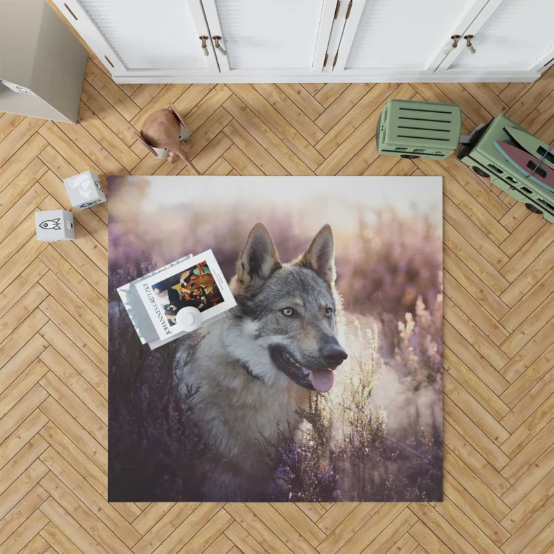 Enigmatic and Compelling: Wolfdog Quartet Floor Rug