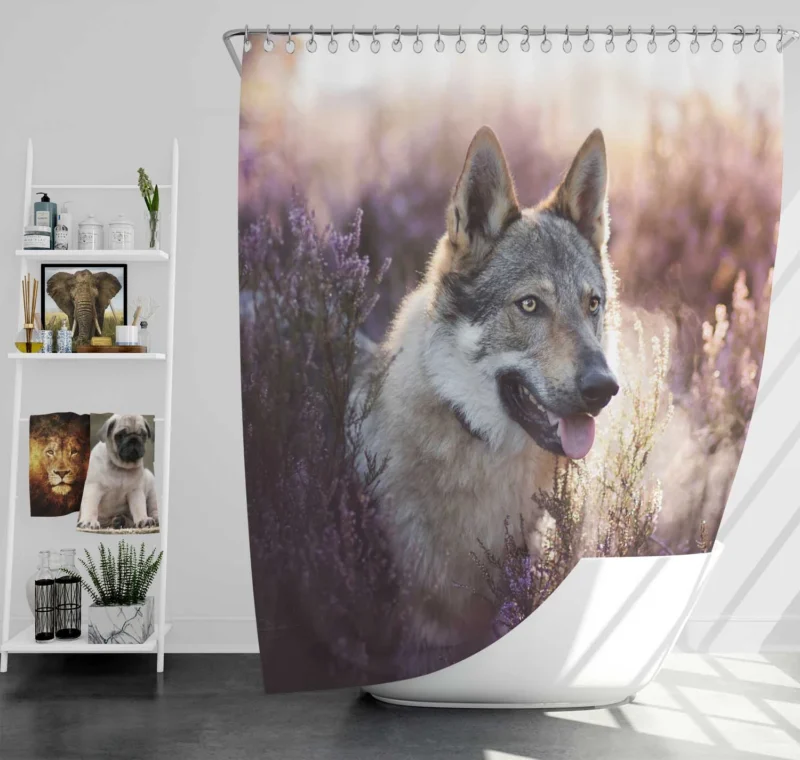 Enigmatic and Compelling: Wolfdog Quartet Shower Curtain