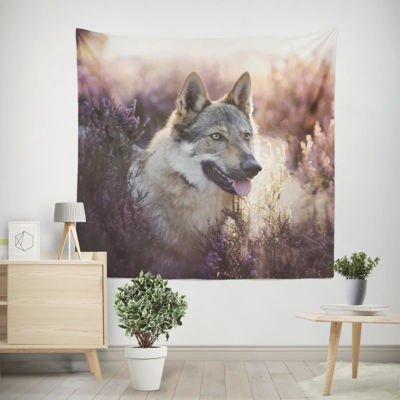 Enigmatic and Compelling  Wolfdog Quartet Wall Tapestry