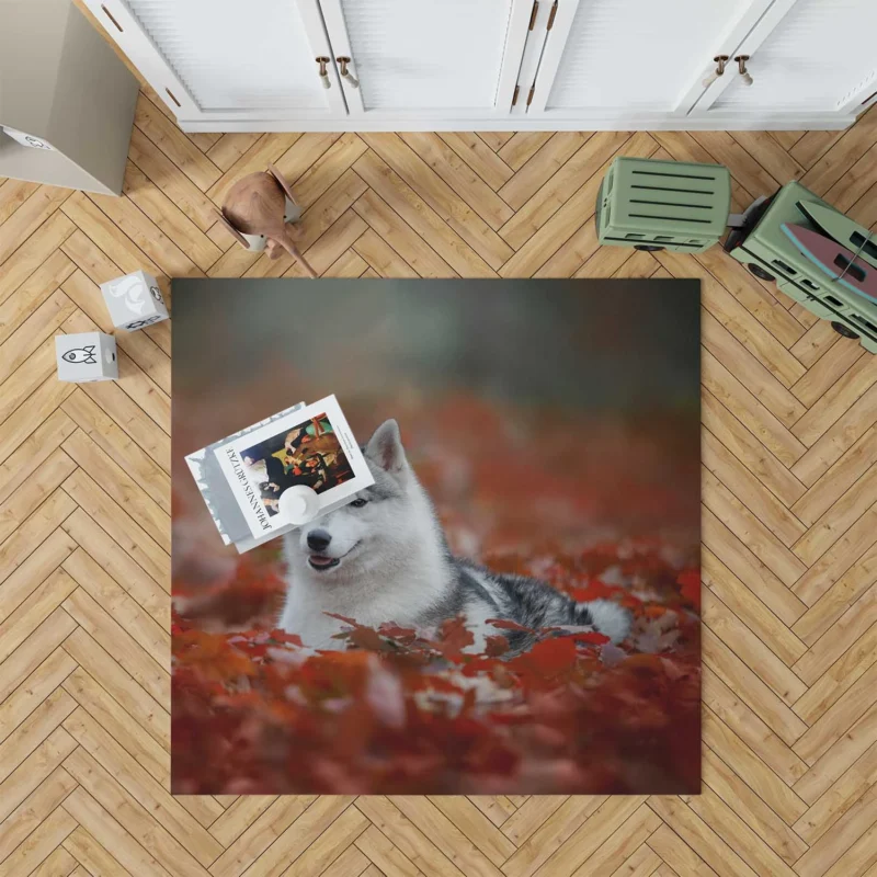 Ethereal Beauty: Husky Depth of Field Among Leaves Floor Rug