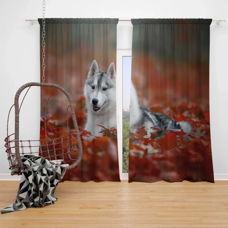 Ethereal Beauty: Husky Depth of Field Among Leaves Window Curtain