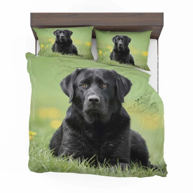 Ethereal Beauty: Labrador Depth of Field Quartet Bedding Set 1