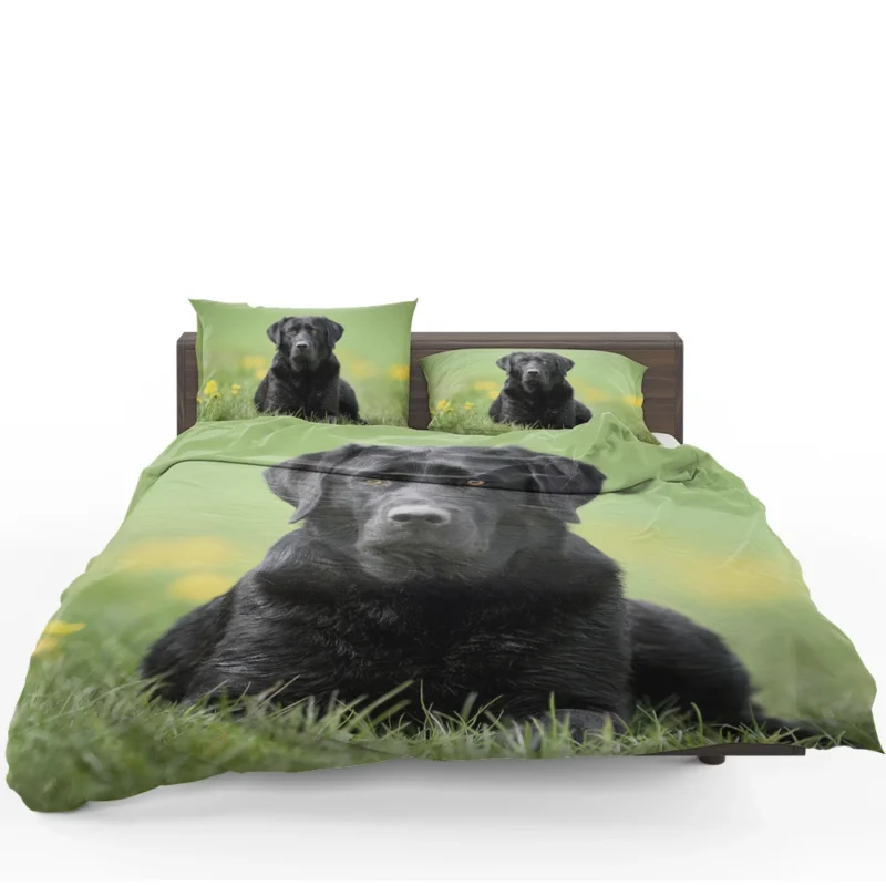 Ethereal Beauty: Labrador Depth of Field Quartet Bedding Set