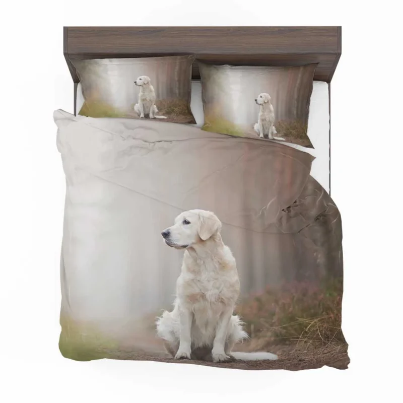 Ethereal Beauty: Labrador Forest Fog Quartet Bedding Set 1