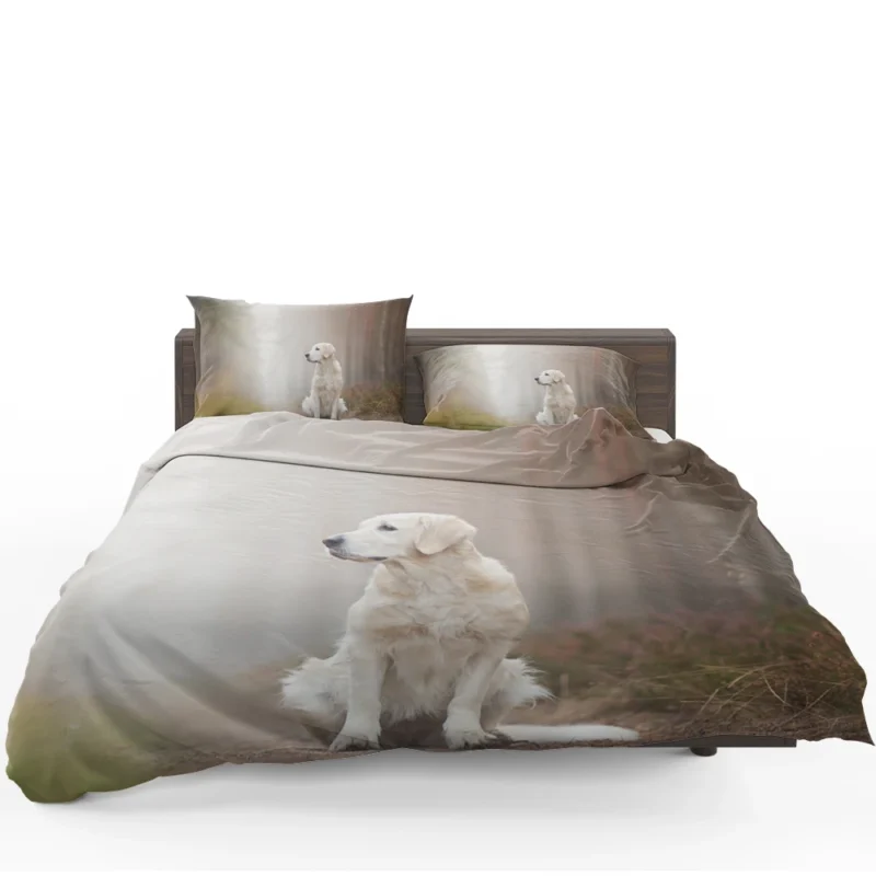 Ethereal Beauty: Labrador Forest Fog Quartet Bedding Set