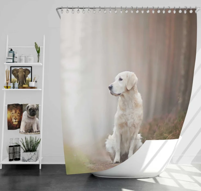 Ethereal Beauty: Labrador Forest Fog Quartet Shower Curtain