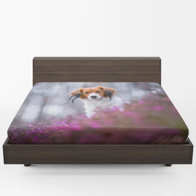 Ethereal Quartet: Kooikerhondje Flowers in Depth Fitted Sheet 1